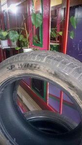 DSC_1217.jpg