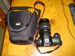 DSC08065.jpg