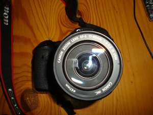DSC08075.jpg