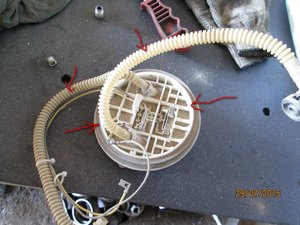 IMG_0571.JPG