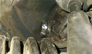 bolt-gur.jpg