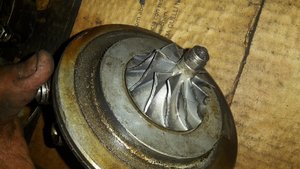20150804_220835.jpg