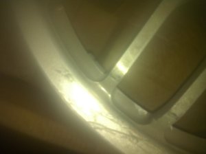 IMG_2618.jpg