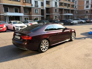 IMG_3306.jpg
