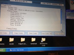 IMG_7019.jpg