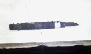 IMG_20150814_093635.jpg