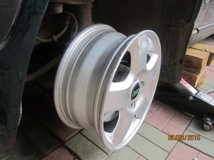 IMG_5893.jpg