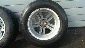 IMAG0244.jpg