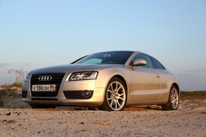 IMG_6818.jpg