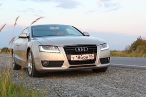 IMG_6850.jpg
