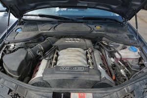 DSC_7605.jpg