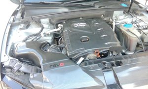 IMG_20150802_1735-1119343604.jpg