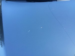 IMG_2059.jpg