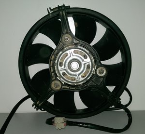 IMAG0942.jpg