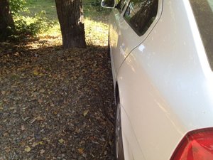 IMG_1341.jpg
