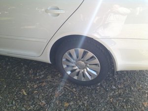 IMG_1342.jpg