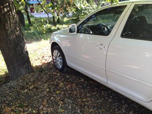 IMG_1343.jpg