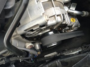 IMG_5262.jpg