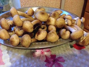 IMG_6692.jpg