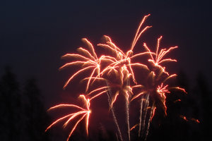 DSC_04560001.JPG