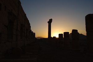 DSC_0965.JPG