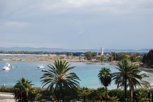 DSC_0719.JPG
