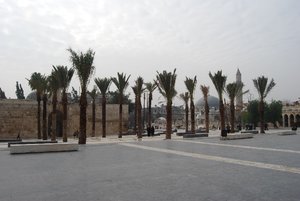 DSC_0843.JPG
