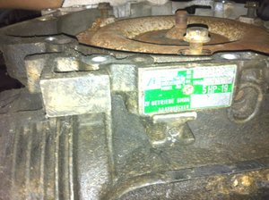 IMG_1949.jpg