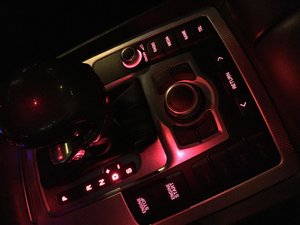 IMG_1480.jpg