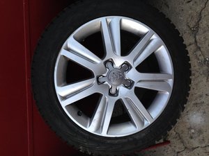 IMG_0929.jpg