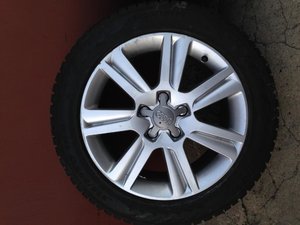 IMG_0927.jpg