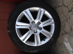 IMG_0928.jpg