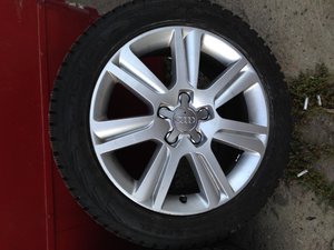 IMG_0930.jpg