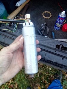 d74bbcas-480.jpg