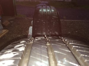 IMG_2382.jpg