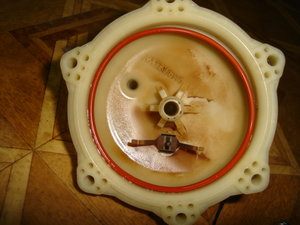 DSC04773.JPG