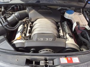 image8.jpg