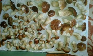 IMG-20150919-WA0000.jpg