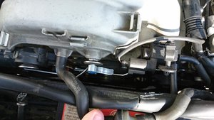 DSC_0171[1].jpg