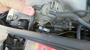 DSC_0172[1].jpg