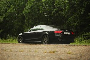IMG_0853.jpg