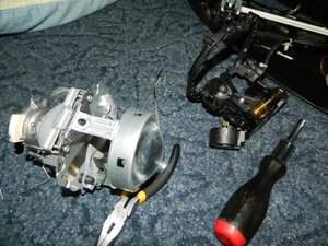 DSCN1834.jpg