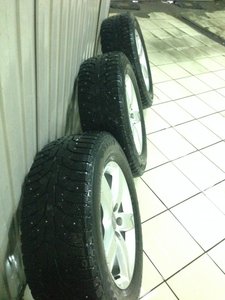 IMG_2486.jpg