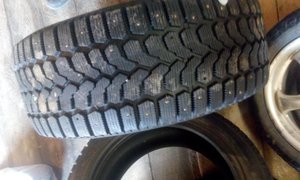 IMG_20151002_140100.jpg