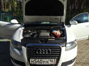 IMG_1590.jpg