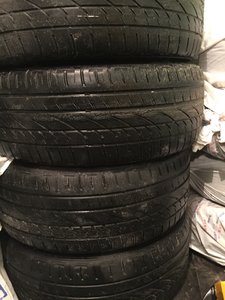 IMG_8036.jpeg
