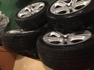 IMG_8034.jpeg