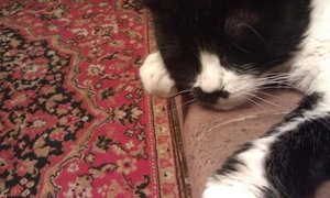 IMAG0179.jpg