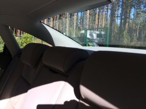 IMG_1614.jpg