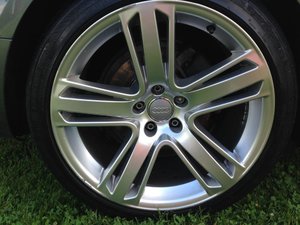 IMG_3903.jpg